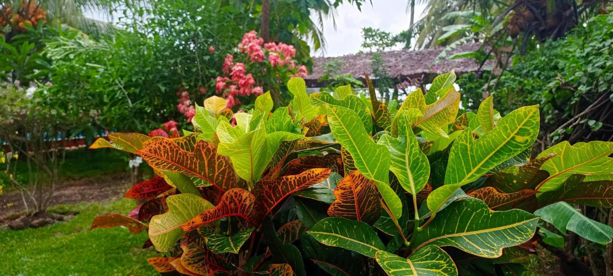 Piscine Bimoko Hotel Nosy-Be Buitenkant foto